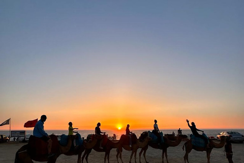 Tânger: Passeio de camelo ao pôr do sol na praia de Achakar e jantar marroquinoTânger: passeio de camelo ao pôr do sol na praia de Achakar e jantar marroquino