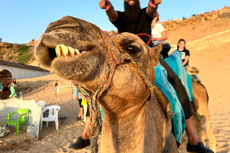 Tânger: Passeio de camelo ao pôr do sol na praia de Achakar e jantar marroquinoTânger: passeio de camelo ao pôr do sol na praia de Achakar e jantar marroquino