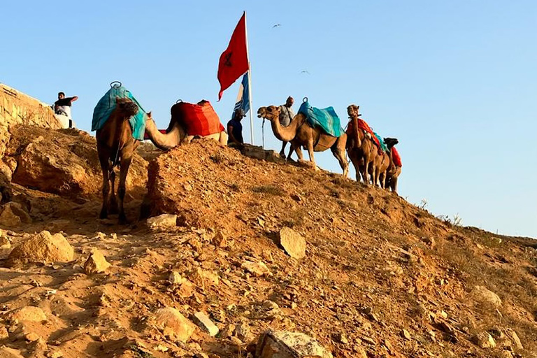 Tangeri: Giro in cammello al tramonto sulla spiaggia di Achakar e cena marocchinaTangeri: giro in cammello al tramonto sulla spiaggia di Achakar e cena marocchina