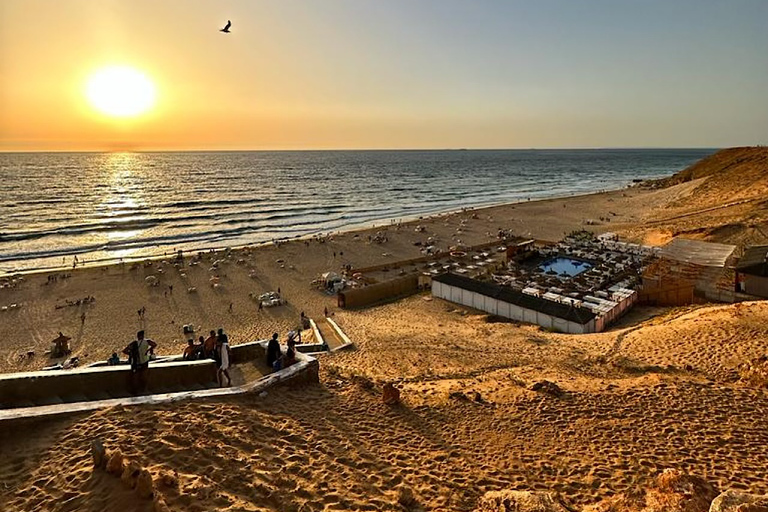 Sonnenuntergang Kamelritt am Sonnenstrand & komplettes AbendessenKamelritt bei Sonnenuntergang