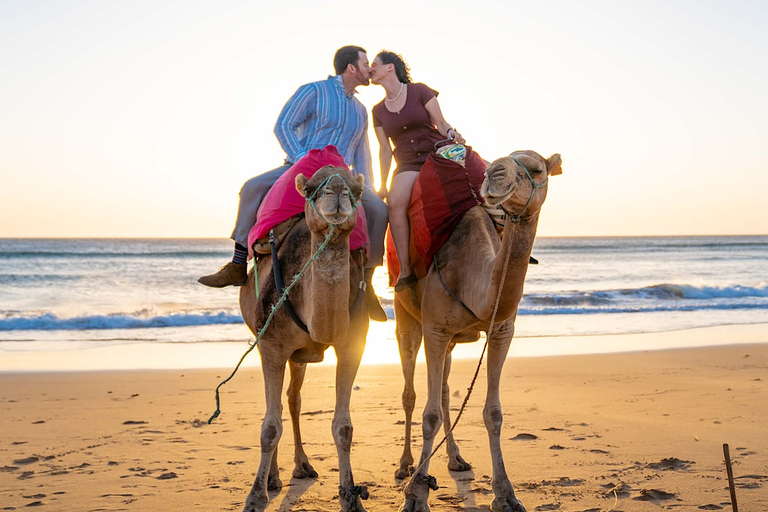 Tangier: Achakar Beach Sunset Camel Ride &amp; Moroccan Dinner