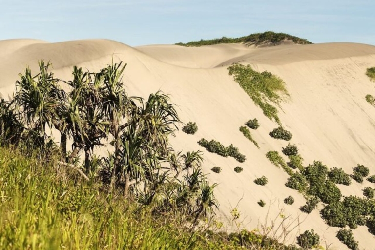 Descubre la cultura y los reptiles de FiyiExcursión por las dunas y el pueblo de Sigatoka