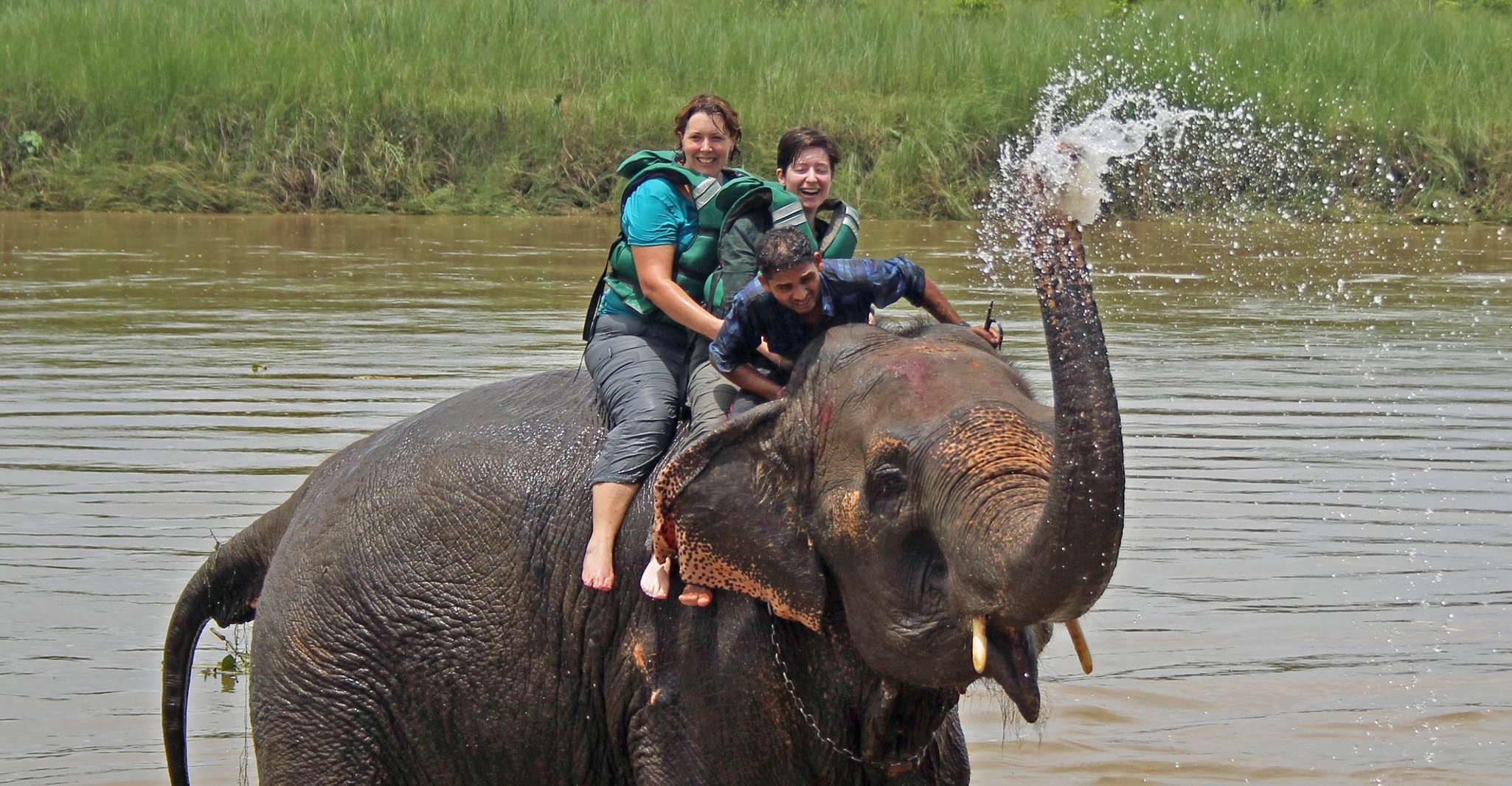 2 Night 3 Days Chitwan Jungle Safari Tour (Full Board) - Housity