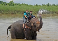 2 notti 3 giorni Chitwan Jungle Safari Tour (full board) - Housity