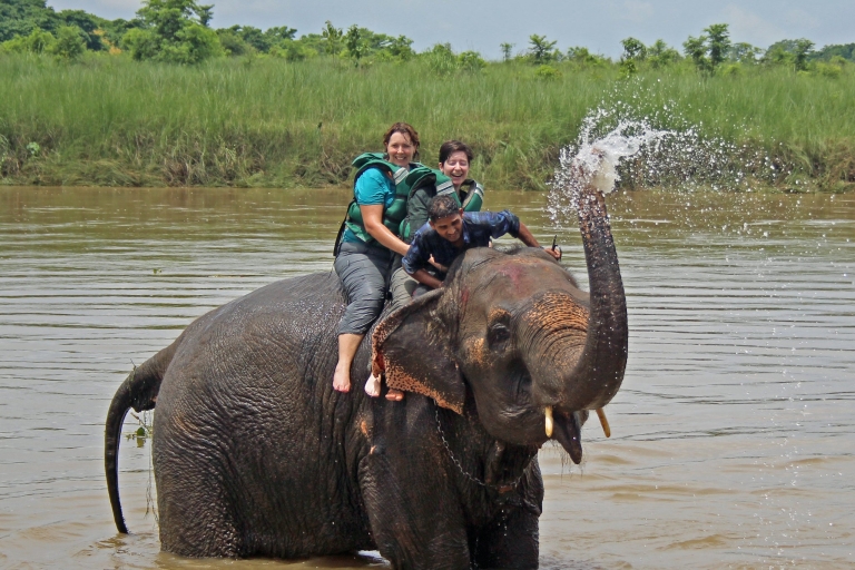 2 nachten 3 dagen Chitwan Jungle Safari Tour (volpension)