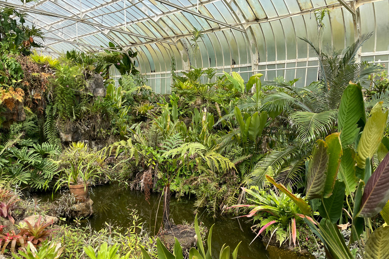 圣保罗：植物园与生物学家导览游（周末）生物学家带你游览圣保罗植物园