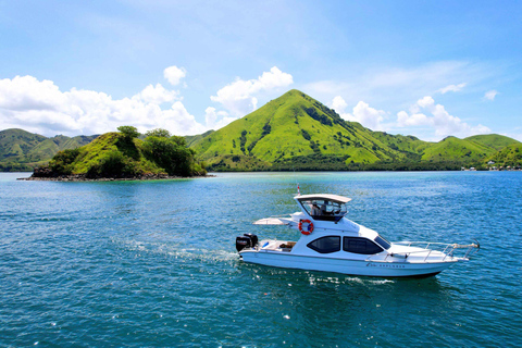 Komodo National Park Fast Boat Day Trip & Snorkeling