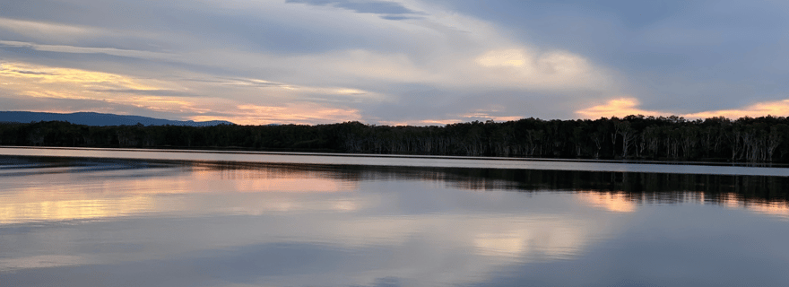 Les savoureux Everglades de Noosa
