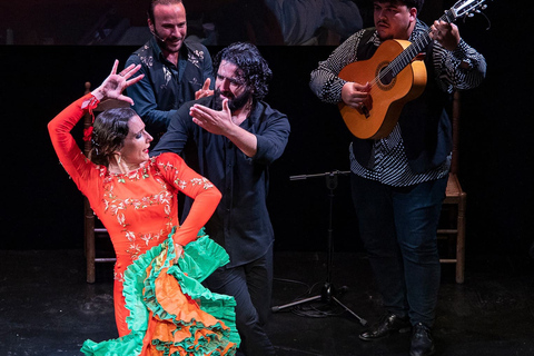 Triana: Authentic Flamenco & Tapas Tour