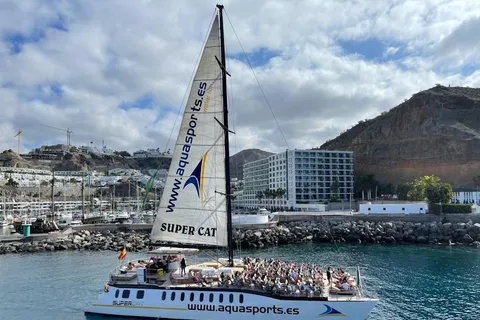 Puerto Rico de Gran Canaria: Premium Dolphin Catamaran Tour