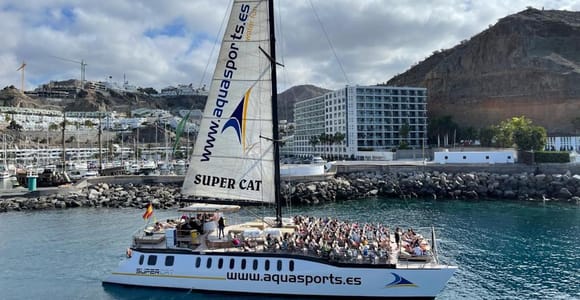 Puerto Rico de Gran Canaria: Premium Dolphin Catamaran Tour