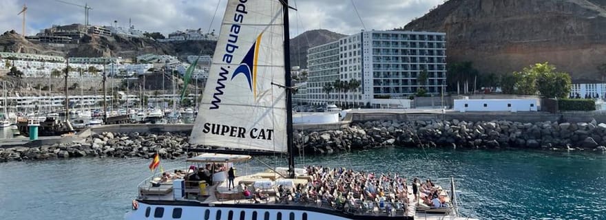 Puerto Rico de Gran Canaria : Excursion en catamaran avec dauphins Premium