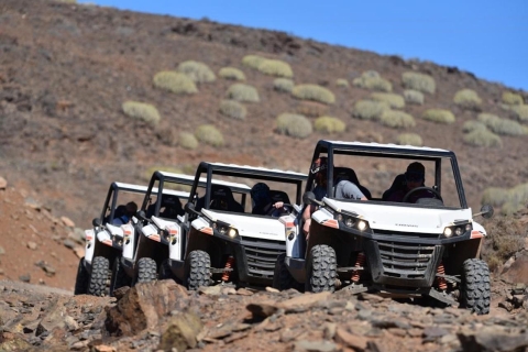 Gran Canaria : Guided buggy tour Buggy tour for 1 person