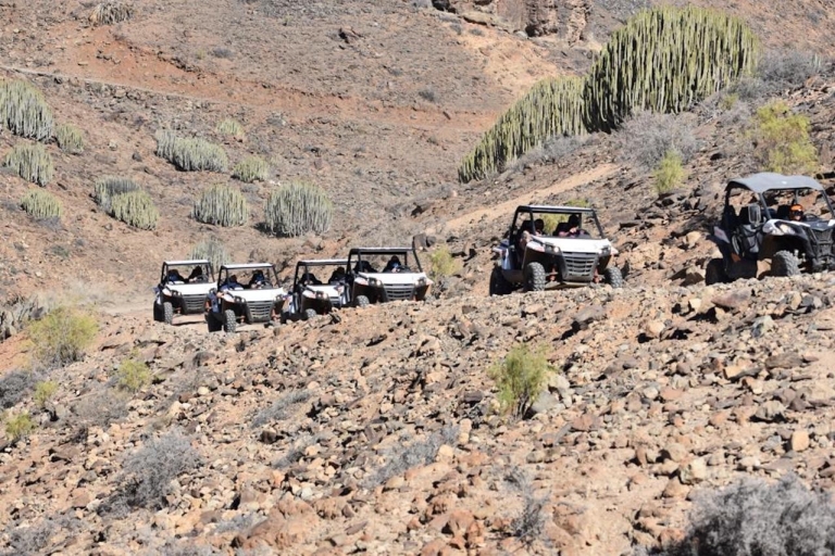 Gran Canaria : Guided buggy tour Buggy tour for 2 person