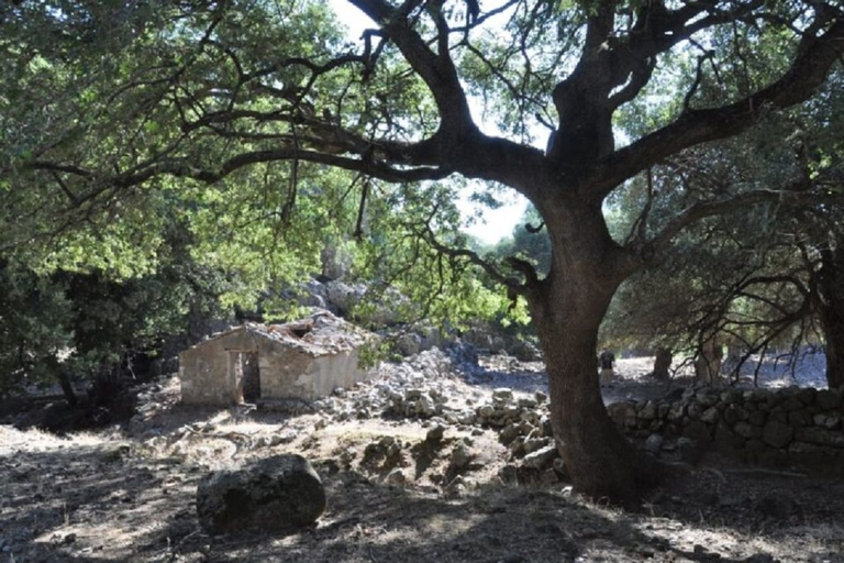 Au départ de La Canée : randonnée guidée dans les gorges d'Imbros et visite d'un village