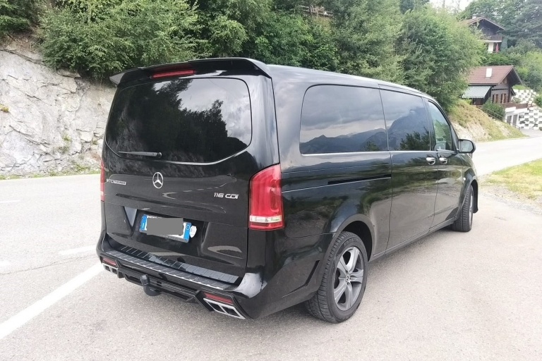 Basel Airport (BSL): Private Transfer to Basel Basel: 1-Way Private Transfer to Basel Airport (BSL)