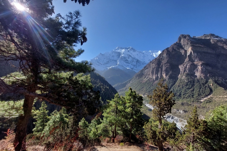 Pokhara: 15-daagse bergachtige Manaslu Circuit Trek