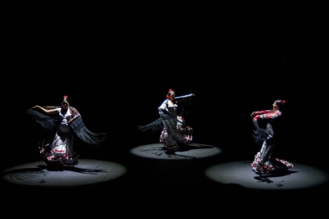 Sevilla: entrada para espectáculo de baile flamenco en vivo en el teatro