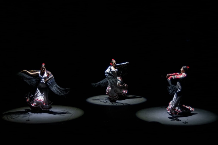 Sevilla: entrada para espectáculo de baile flamenco en vivo en el teatro