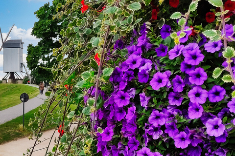 Historical Bruges: Jerusalem Chapel and Univ. of Commerce