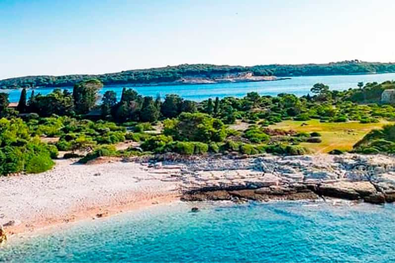 Pula: Island Visit National Park Brijuni & Dolphin Cruise | GetYourGuide