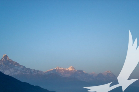 Trek du camp de base de l'Annapurna