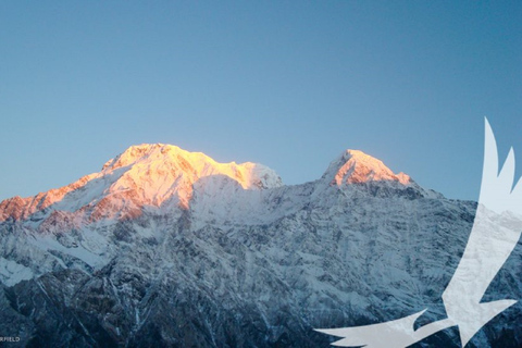 Trek du camp de base de l'Annapurna