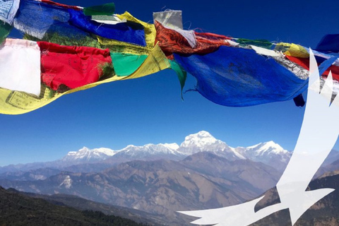 Trek du camp de base de l'Annapurna