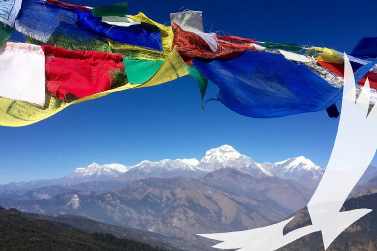 Trek du camp de base de l'Annapurna