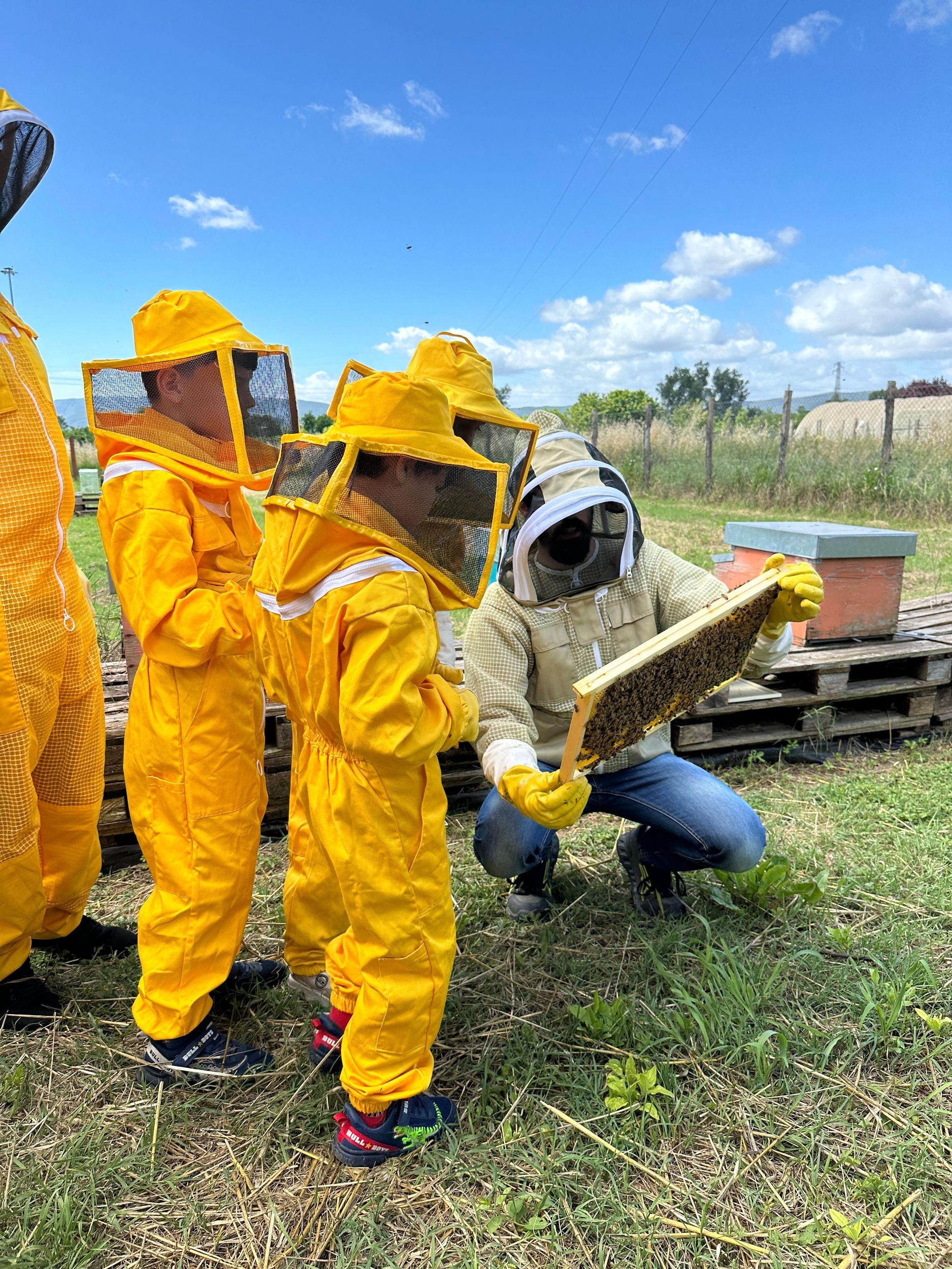 Terni: Geführte Besichtigung eines Bienenstocks – Werden Sie für einen Morgen zum Imker