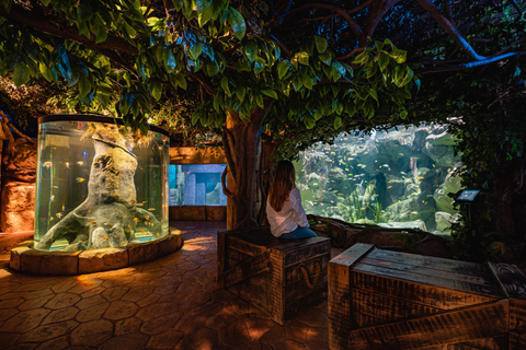 St Paul's Bay: Malta National Aquarium Entry Ticket