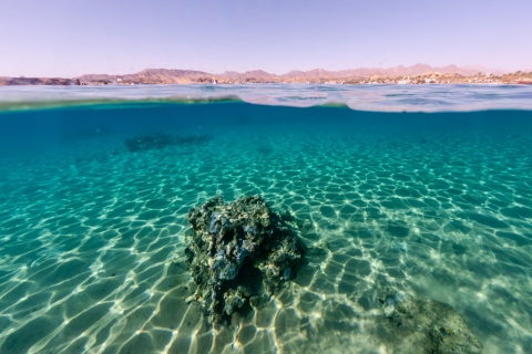 Von Sharm aus: Allah-Tor, Erdbebenrisse und Mangroven-Tagestour