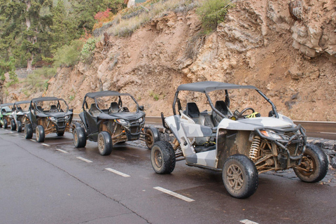 Von Agadir oder Taghazout aus: Dünenbuggy-Tour