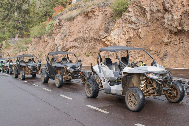 De Agadir ou Taghazout: passeio de buggy nas dunas