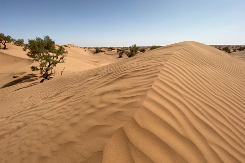 Agadir oder Taghazout: Wüste Sahara Sanddünen mit Transfer