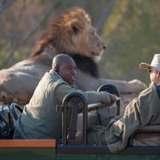 Die private Great Africa Escape 11 Tage, Kapstadt bis Chobe