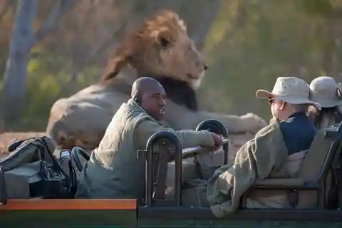The Private Great Africa Escape 11 Days, Cape Town to Chobe
