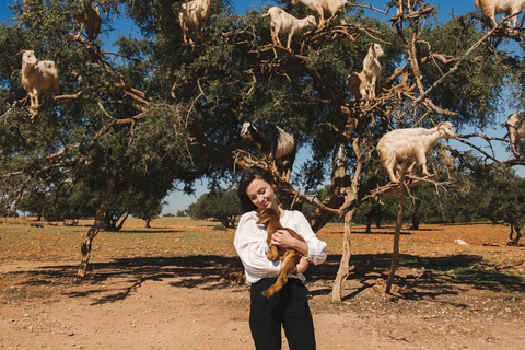 Flying Goats and Agadir Oufella View Experience