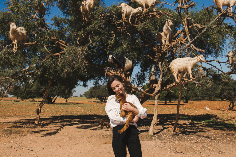 Flying Goats en Agadir Oufella View Experience