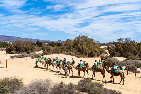 Agadir: Kamelritt mit Tee