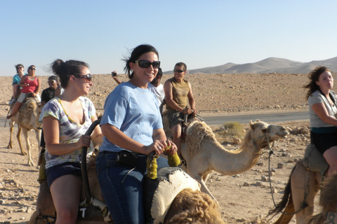 Agadir: Kamelritt mit Tee