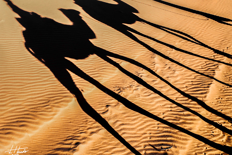 Agadir: Camel Ride With Tea