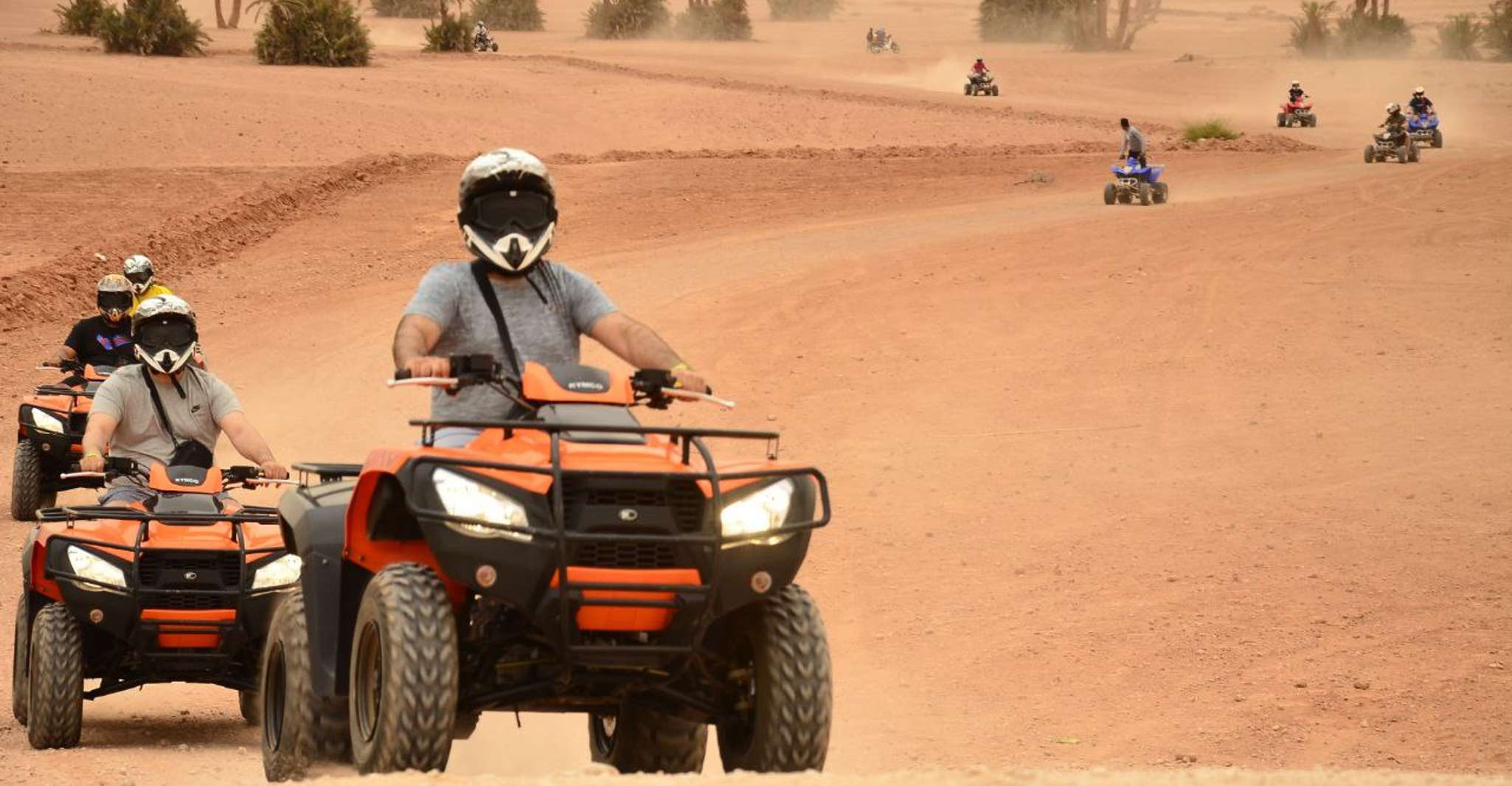 Marrakech, Quad Activity в Palmeraie с перерывом на чай - Housity