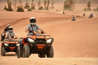Marrakech, Quad activity in the Palmeraie with Tea break - Housity