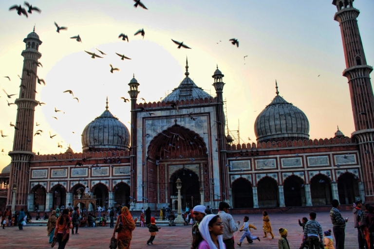 Delhi: 6-Day Guided Trip of Delhi, Agra, Jaipur and Udaipur Tour without Hotel Accommodation