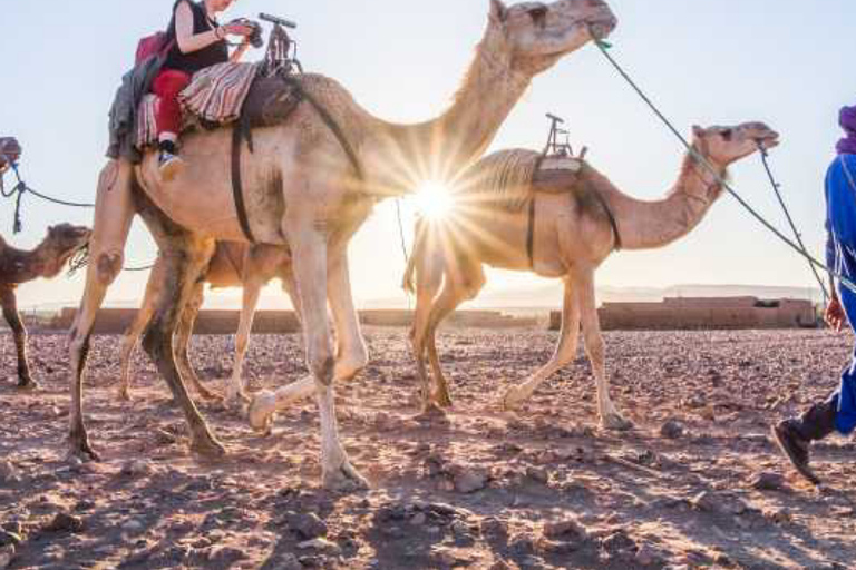 Marrakech : Excursion de nuit dans le Sahara à Zagora et Ait Ben Haddou