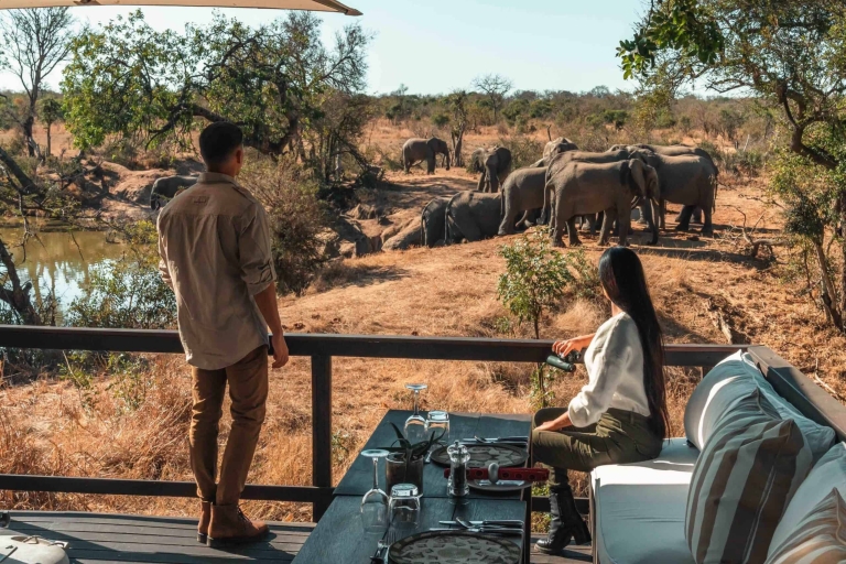 Desde Windhoek: Safari privado de 10 días Great Escape Namibia