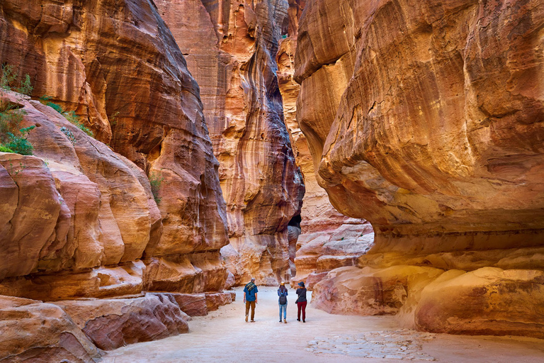 Amman or Dead Sea: Petra & Wadi Rum Jeep Tour and Dinner. From Amman: Tour to Petra and Wadirum with Guide in Petra.