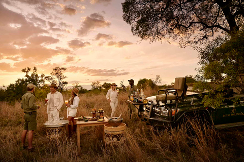 Safari Kruger y Ruta Panorámica 4 Días - Todo incluidoSafari Kruger y Ruta Panorámica 4 Días