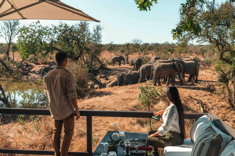 Safari Kruger y Ruta Panorámica 4 Días - Todo incluidoSafari Kruger y Ruta Panorámica 4 Días